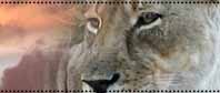 Hunts of a Lifetime 